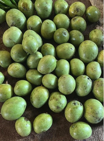 Kaeri-Kacha aam